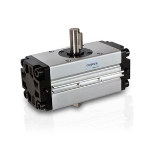 Pneumatic Rotary Actuator CRA1