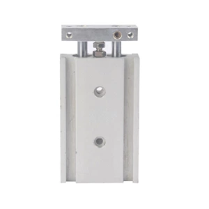 Double Rod Air Cylinder CXS