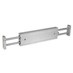 Double Rod Air Cylinder CXSW