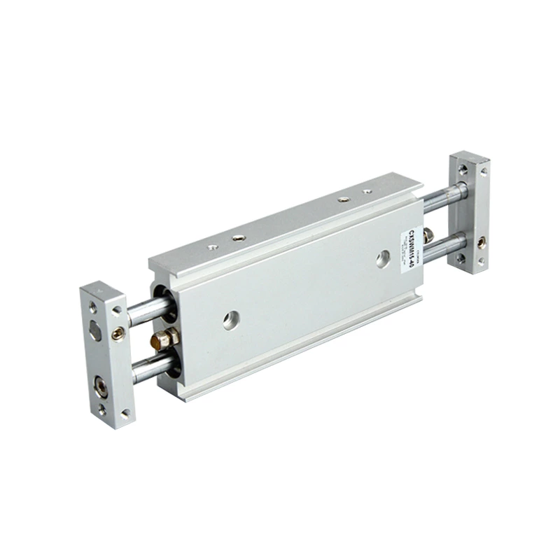 Double Rod Air Cylinder CXSW