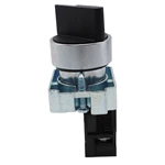 LAY5-BD21 2 position selector switch lay5 selector push button