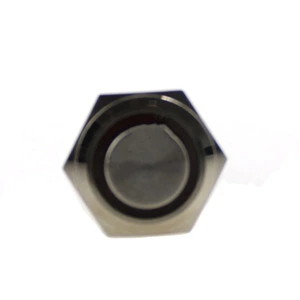 16mm High flat Stainless Steel Momentary Metal Push Button Switch with lamp