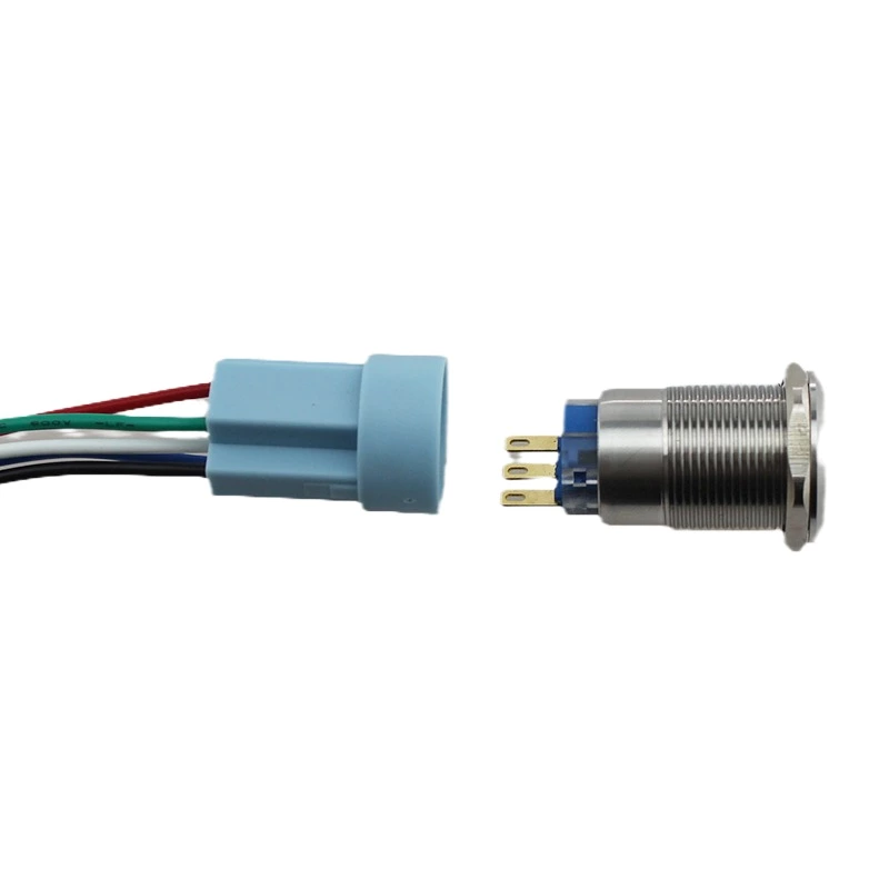 19mm IP67 Flat Momentary Or Maintained Waterproof Stainless Steel Metal Push Button Switch