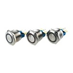 ABS22S-P11-E 22mm momentary switch LED metal push button switch