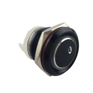 19mm MAX 16A 1NO IP65 Green Ring Light Black Self-locking Metal Push Button Switch