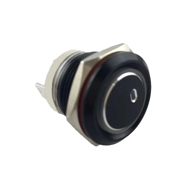 19mm MAX 16A 1NO IP65 Green Ring Light Black Self-locking Metal Push Button Switch