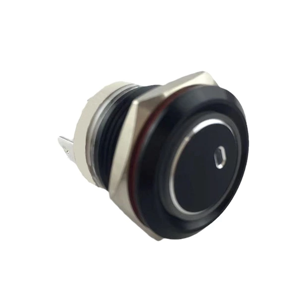 19mm MAX 16A 1NO IP65 Green Ring Light Black Self-locking Metal Push Button Switch