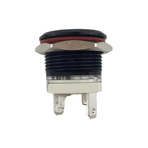 19mm MAX 16A 1NO IP65 Red Ring Light Black Self-locking Metal Push Button Switch