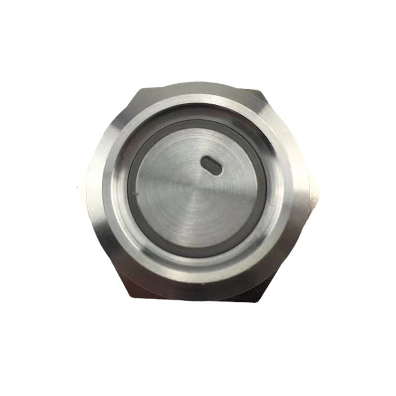 New 19mm MAX Current 16A Metal Push Button Switch Waterproof IP65 Momentary 24V with Blue LED Light