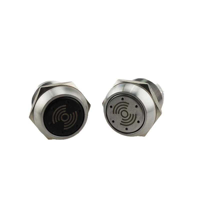 19mm Waterproof Metal Buzzer Alarm Flashing LED Red Glow Intermittent Active Sound Light DC12V Stainless Steel Black IP65