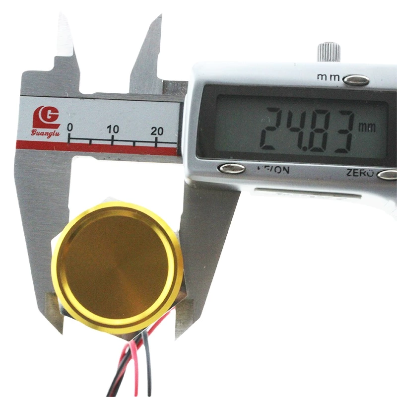 Piezo Push Waterproof Flat Head 1NO Button Touch Latching 24V Ip68 Piezo Switch